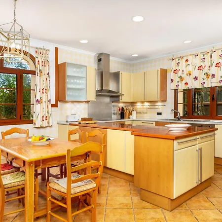 Luxury In Guadalmina Villa Marbella